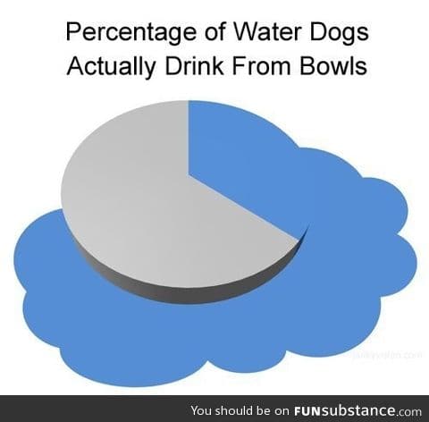 Dogs and water