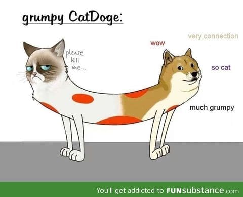 catdoge