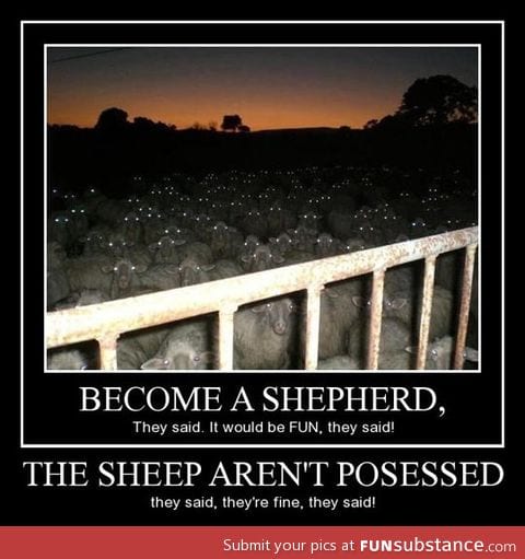 Become a shepherd