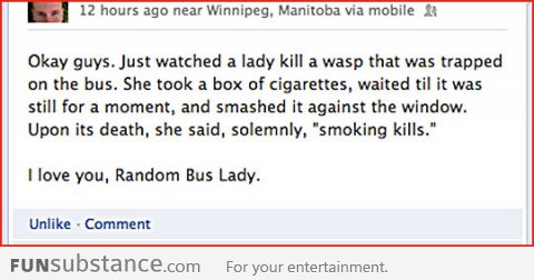 Random bus lady killing a wasp