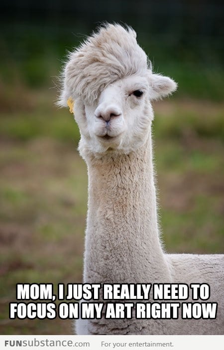 Misunderstood emo alpaca