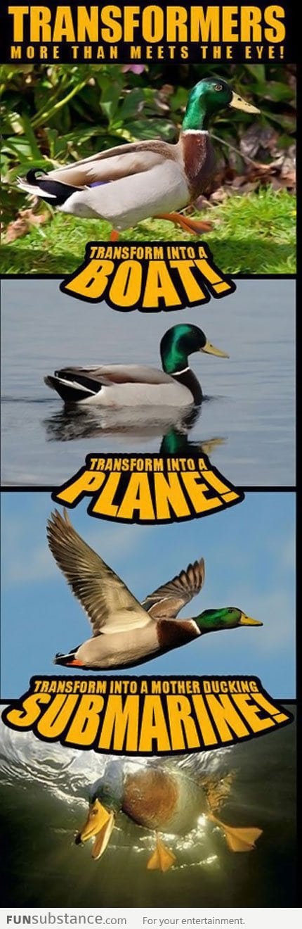 Duck = Transformers