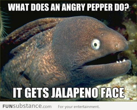 Bad Joke Eel gets spicy