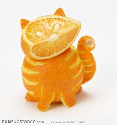 Orange Cat. Literally.