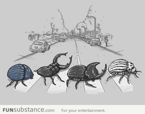 The Beetles