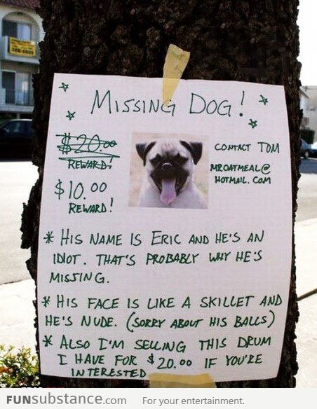 Missing dog