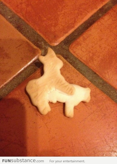 Found this an animal cracker.