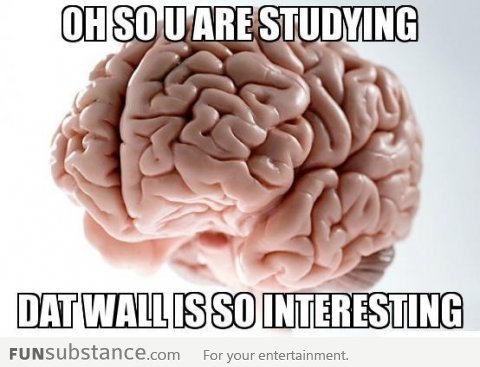 Scumbag brain on studying