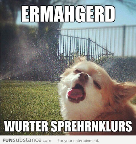 Sprinklers can be so addictive