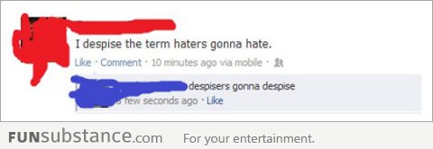 Haters Gonna Despise