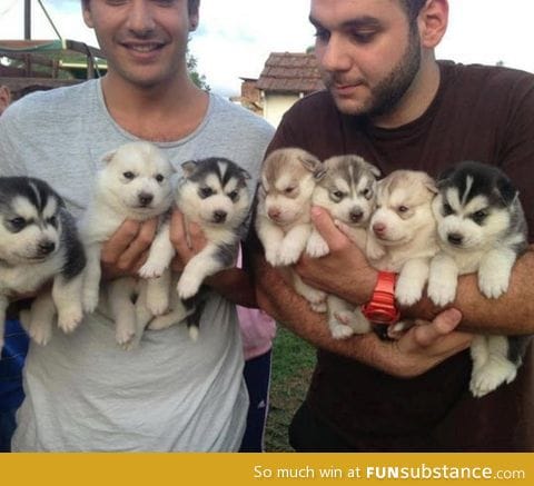 Arms full of fluffiness…