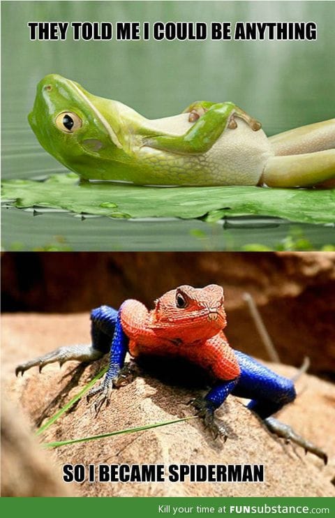 Spiderfrog