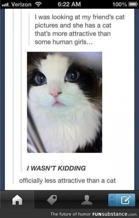 Officially less attractive than a cat