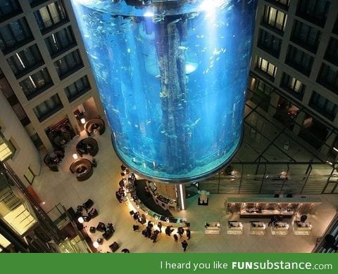 Epic fish tank