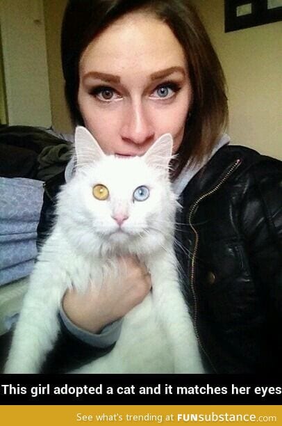 Matching eyes