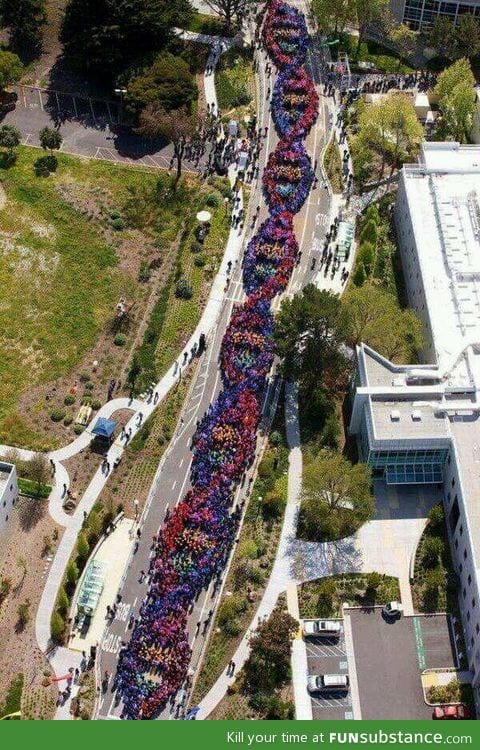 2600 people celebrating the discovery of dna