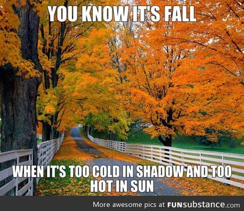 How you know it's fall