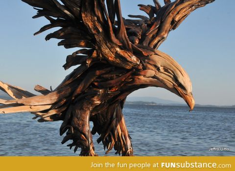 Driftwood eagle