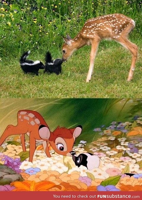 Disney in real life