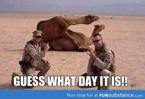 It's HUMPDAAAY!