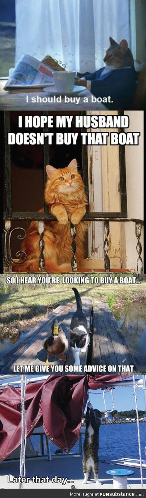 Cat and boat story