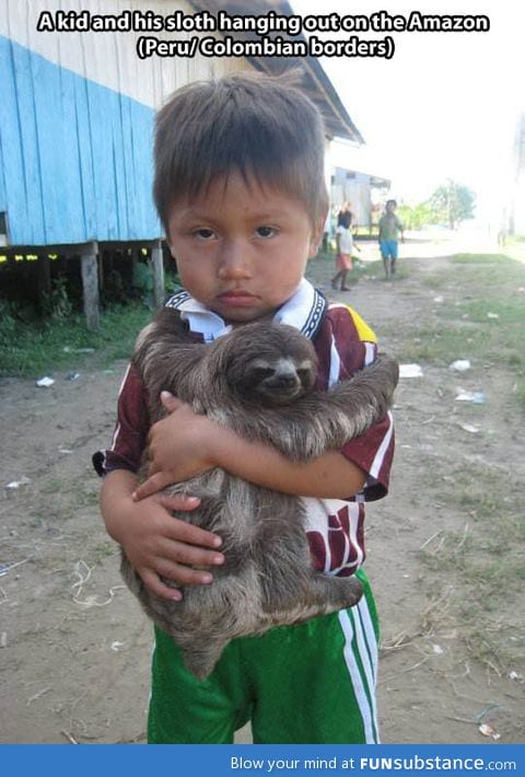 a boy and his sloth