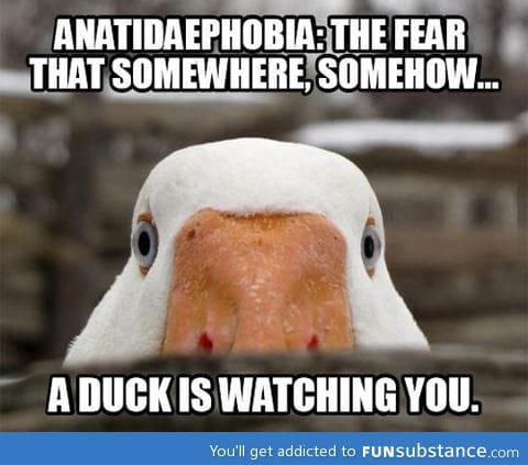 Anatidaephobia