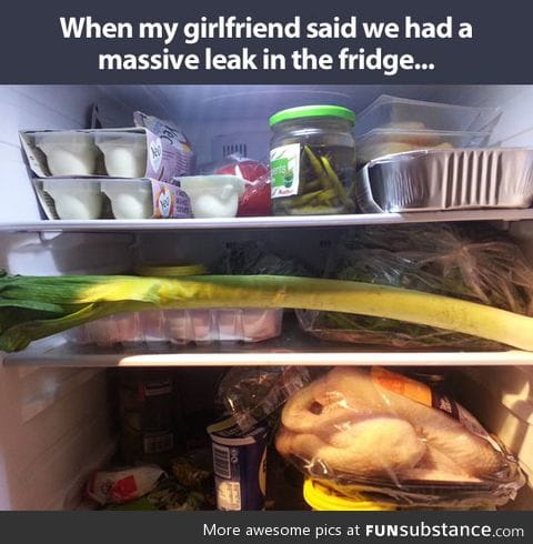 Massive leak in the fridge