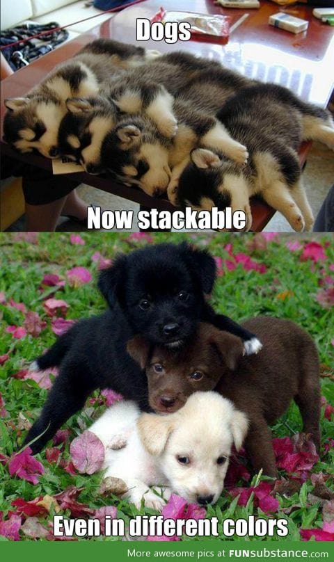 Stackable dogs