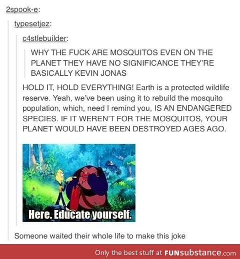 Mosquitos like Kevin jonas