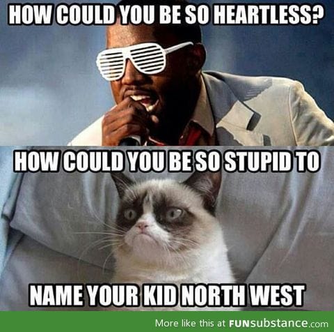 Heartless grumpy cat