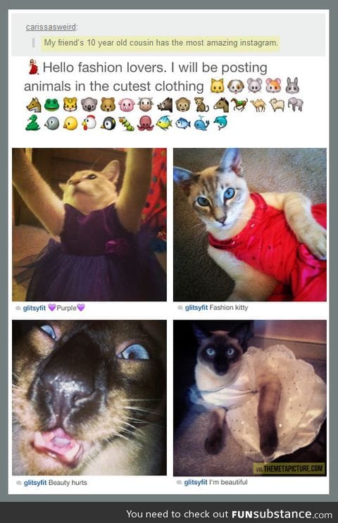 The most amazing instagram account