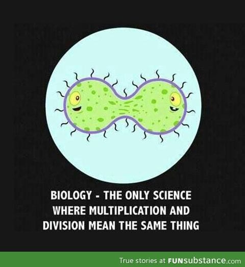 Multiplication and division in biology