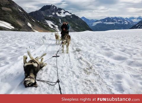 Flat Tire in Alaska