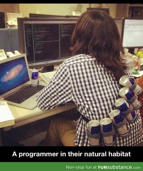 A programmer in their natural habitat