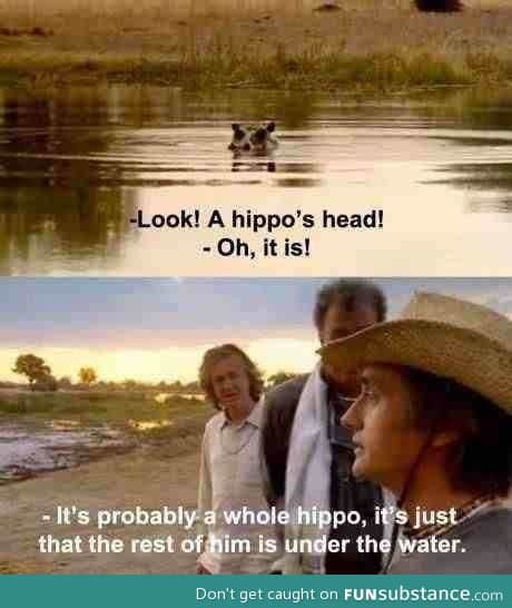 It's probably a whole hippo