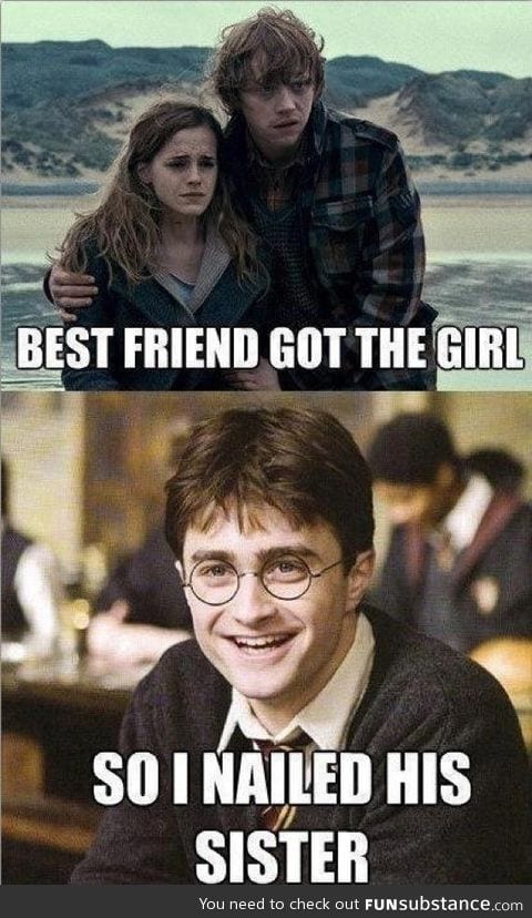 Harry Potter takes revenge