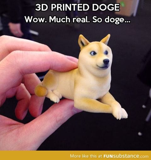 Doge print