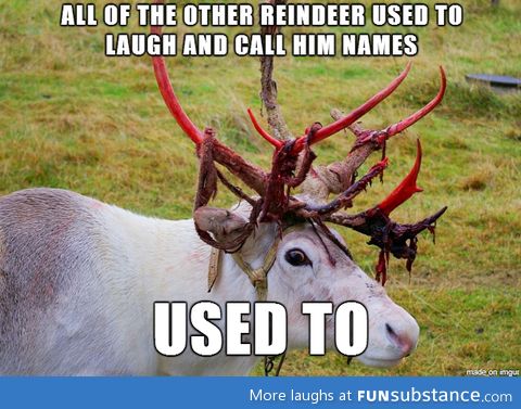 Insanity reindeer