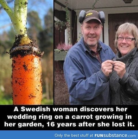 Carrots grow for 16 years