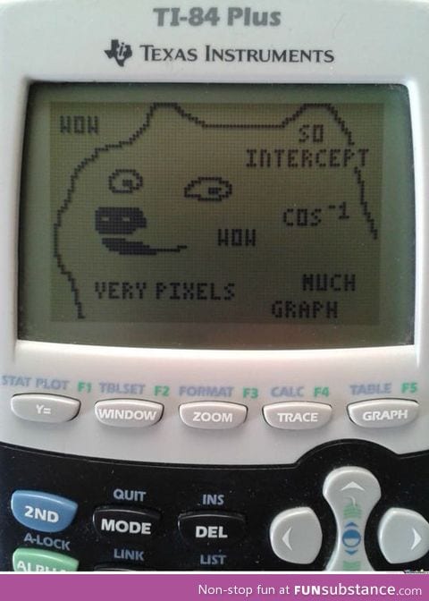 Math doge