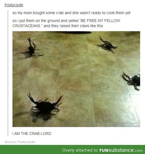 I AM THE CRAB LORD