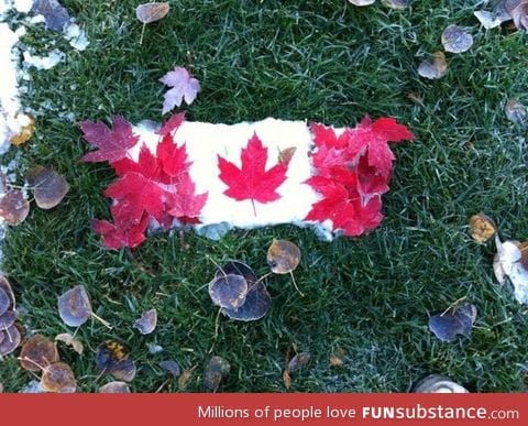 Canadian flag made out of real maple leaves and snow