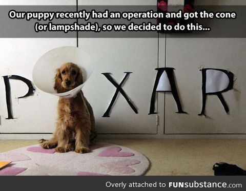 Pixar dog