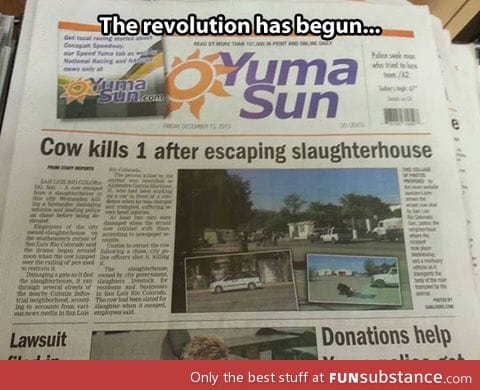 The cow revolution