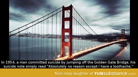 Dumbest excuse for suicide