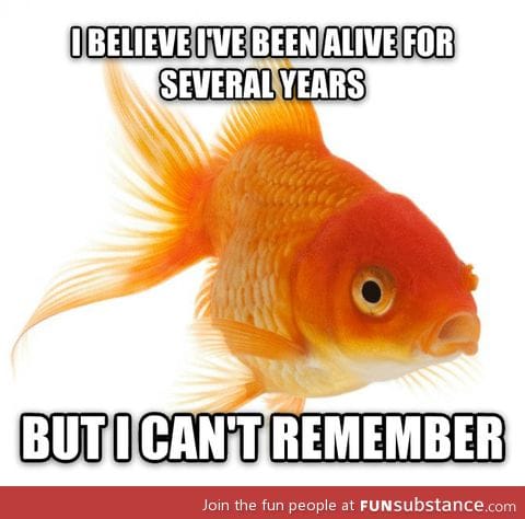 Goldfish realization