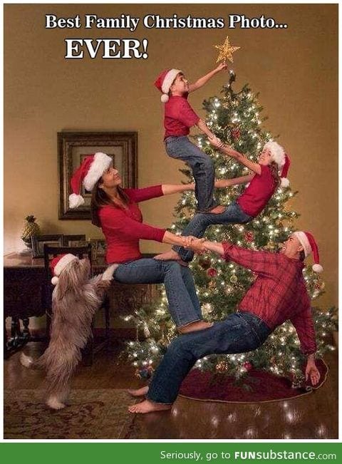 This is seriously the best christmas photo ever