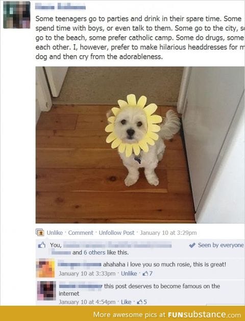 headdresses for dogs