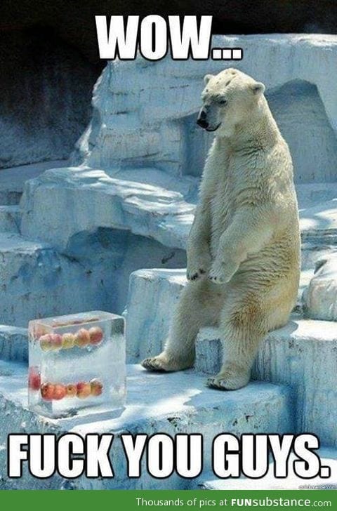 Poor polar bear